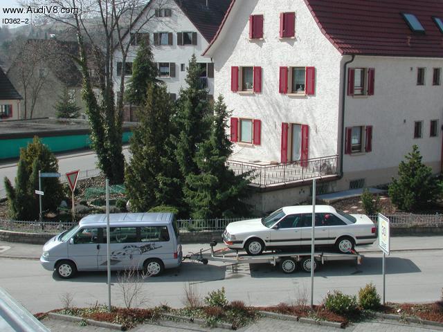 Bild